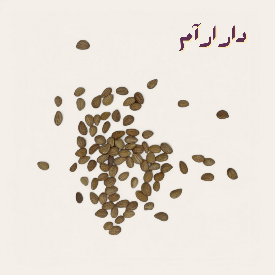 محلب