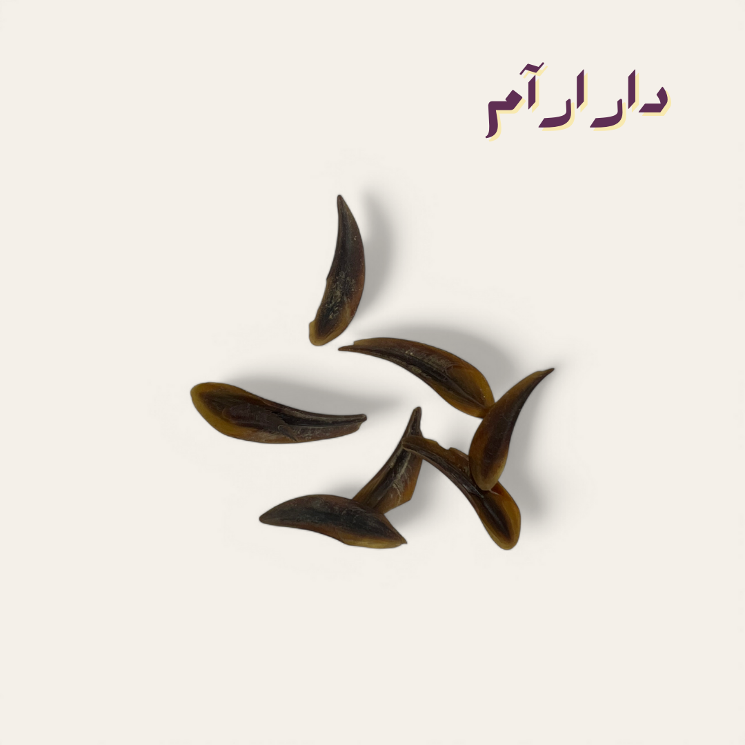 ضفرة (الظفر)