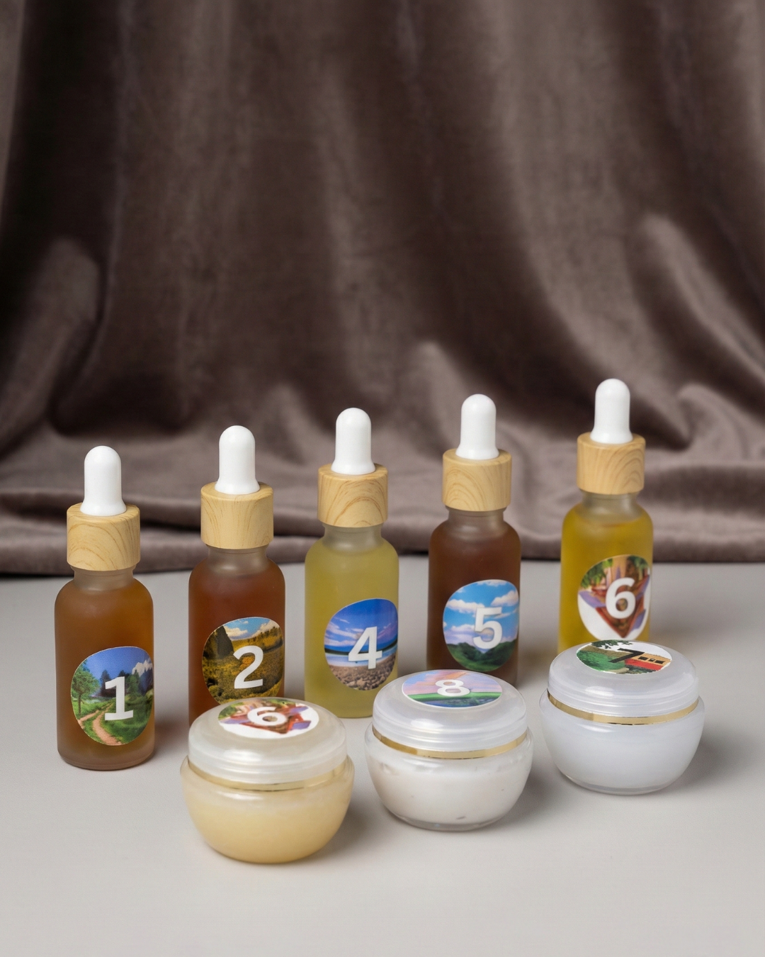 صندوق العينات